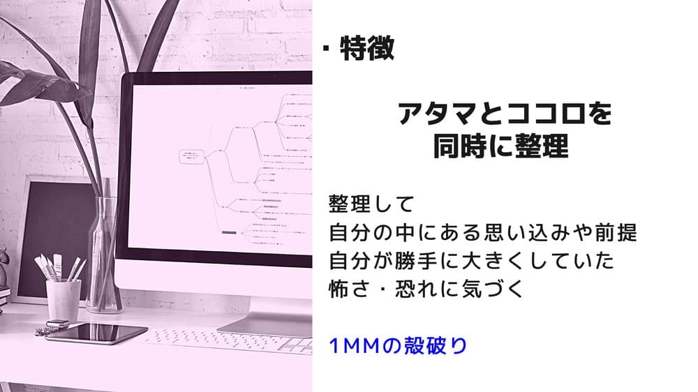 講座スライド「特徴：アタマとココロを同時に整理」——整理して、自分の中の思い込みや怖さに気づく